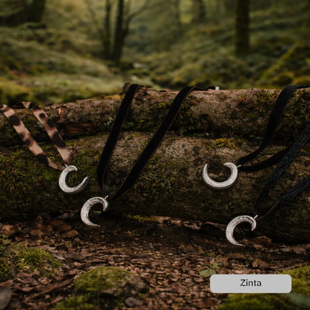 Akerbeltz lepokoa zinta.